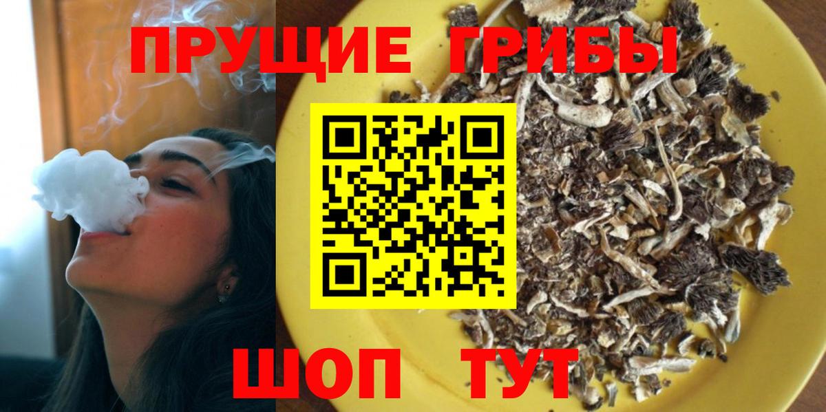 Псилоцибиновые грибы Cubensis  Галлюциногенные грибы GOLDEN TEACHER  продажа наркотиков  Большой Камень  Вход с VPN 
