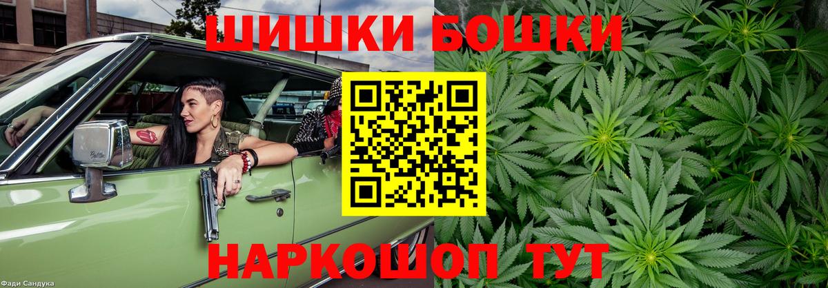 Каннабис планчик Большой Камень